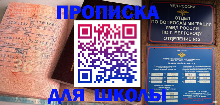 прописка иностранных граждан в Барыше